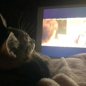 Meet your Posher, Deborah